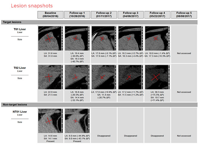 TRAC Report: Thumbnails of measured lesions with measurements used for the assessment